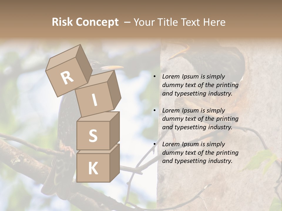 Make Angry Chick Shout At PowerPoint Template