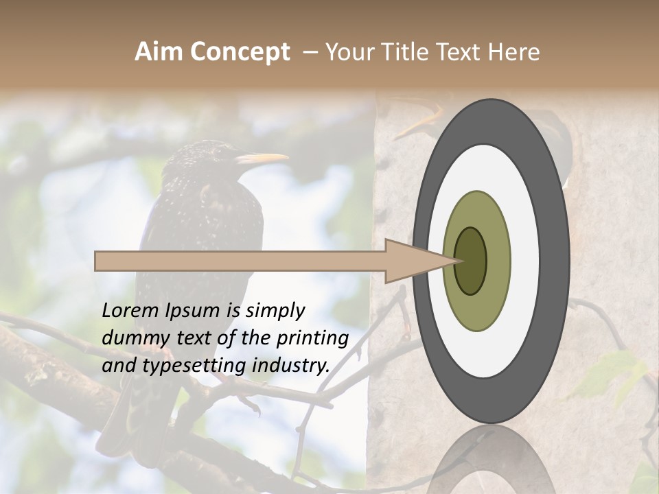 Make Angry Chick Shout At PowerPoint Template