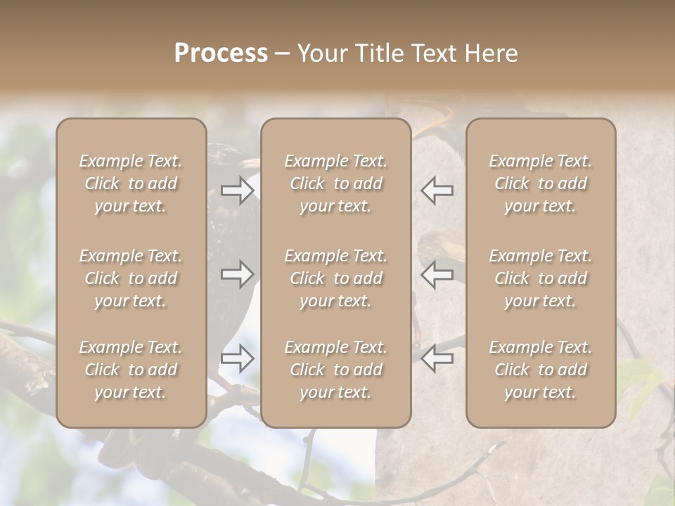 Make Angry Chick Shout At PowerPoint Template