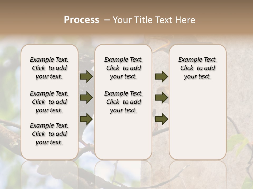 Make Angry Chick Shout At PowerPoint Template