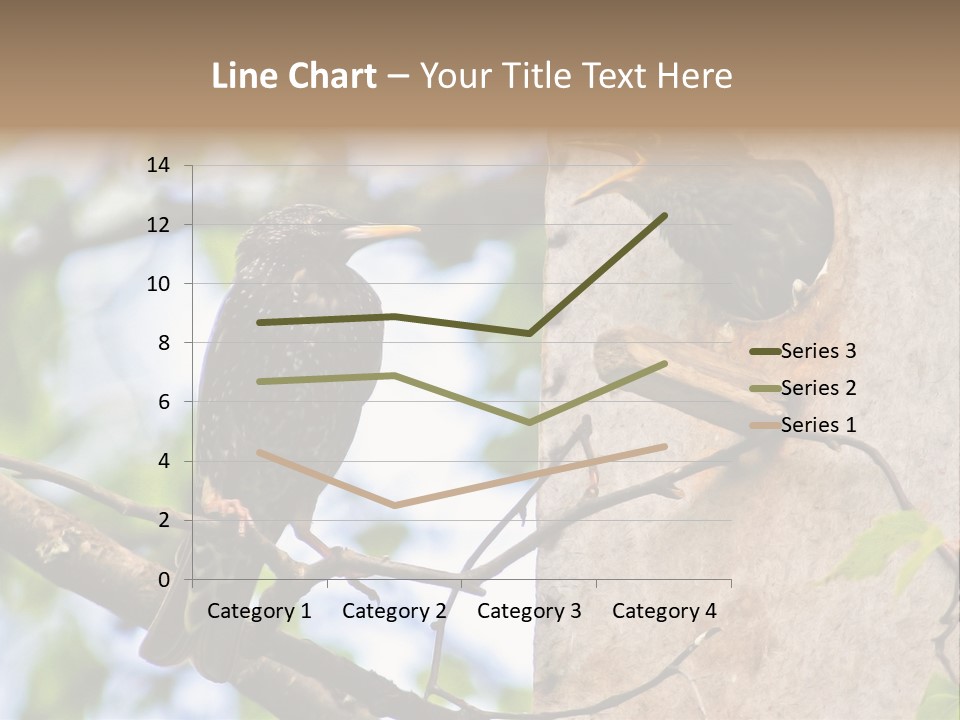Make Angry Chick Shout At PowerPoint Template