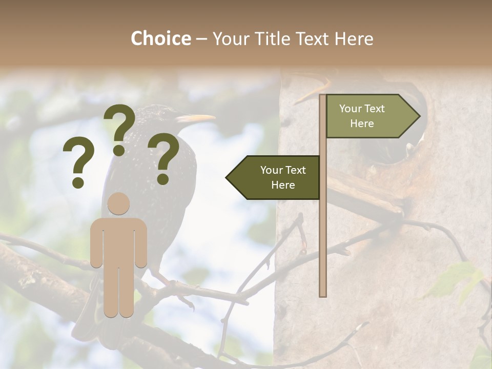 Make Angry Chick Shout At PowerPoint Template