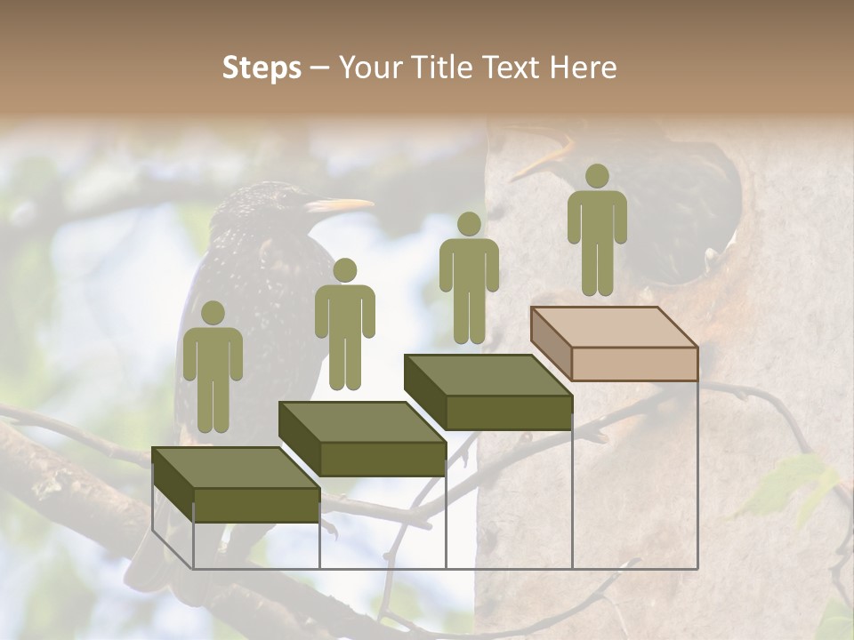 Make Angry Chick Shout At PowerPoint Template