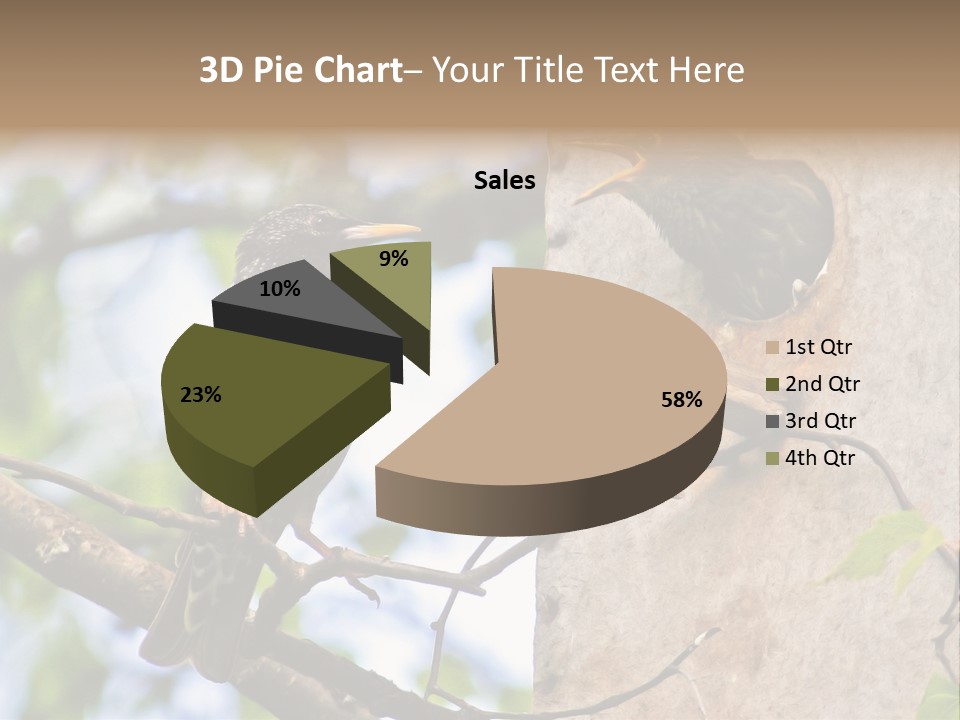Make Angry Chick Shout At PowerPoint Template