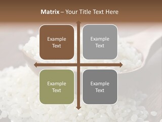 Macro Rice Vegetarian PowerPoint Template