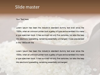 Macro Rice Vegetarian PowerPoint Template