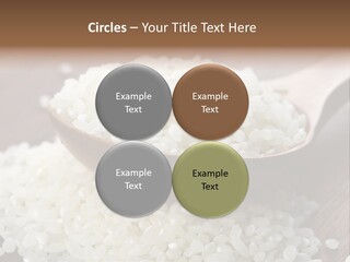 Macro Rice Vegetarian PowerPoint Template