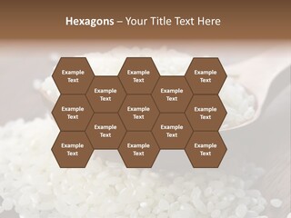 Macro Rice Vegetarian PowerPoint Template