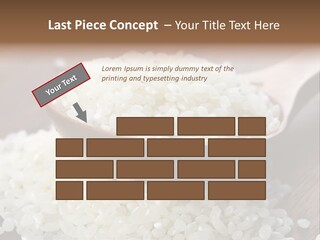 Macro Rice Vegetarian PowerPoint Template