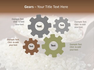 Macro Rice Vegetarian PowerPoint Template