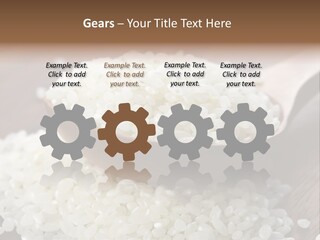 Macro Rice Vegetarian PowerPoint Template
