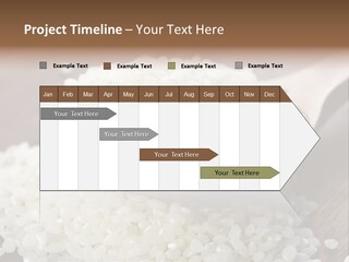 Macro Rice Vegetarian PowerPoint Template