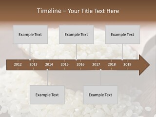 Macro Rice Vegetarian PowerPoint Template