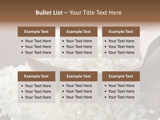 Macro Rice Vegetarian PowerPoint Template