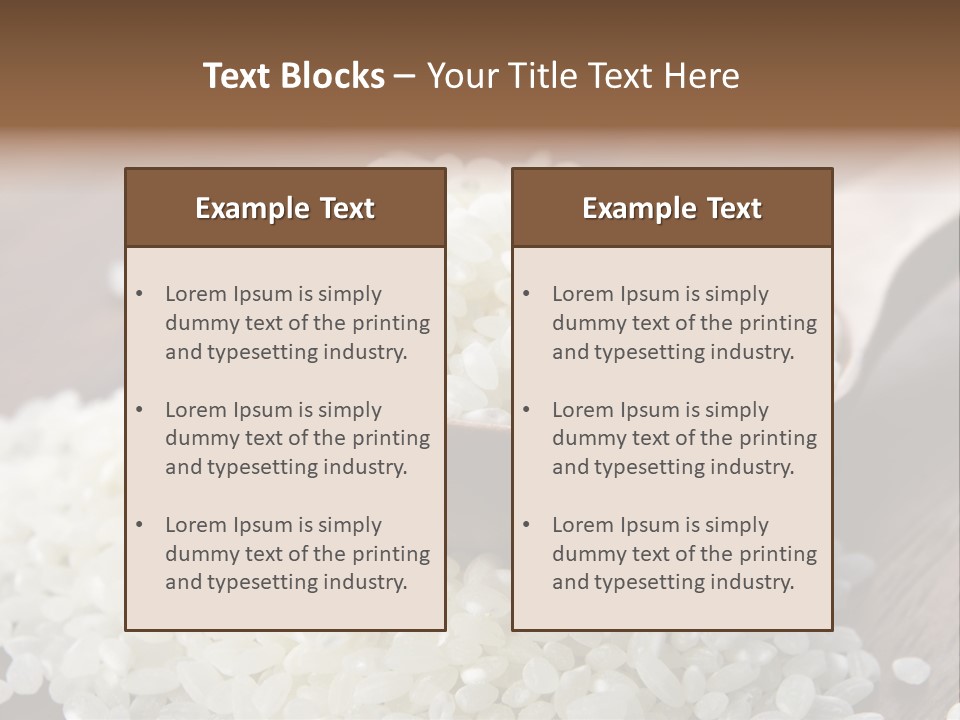 Macro Rice Vegetarian PowerPoint Template