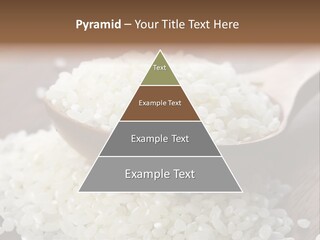 Macro Rice Vegetarian PowerPoint Template