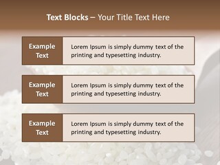 Macro Rice Vegetarian PowerPoint Template