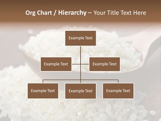 Macro Rice Vegetarian PowerPoint Template