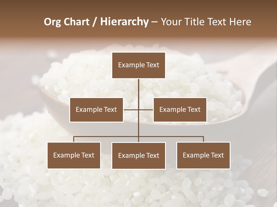 Macro Rice Vegetarian PowerPoint Template