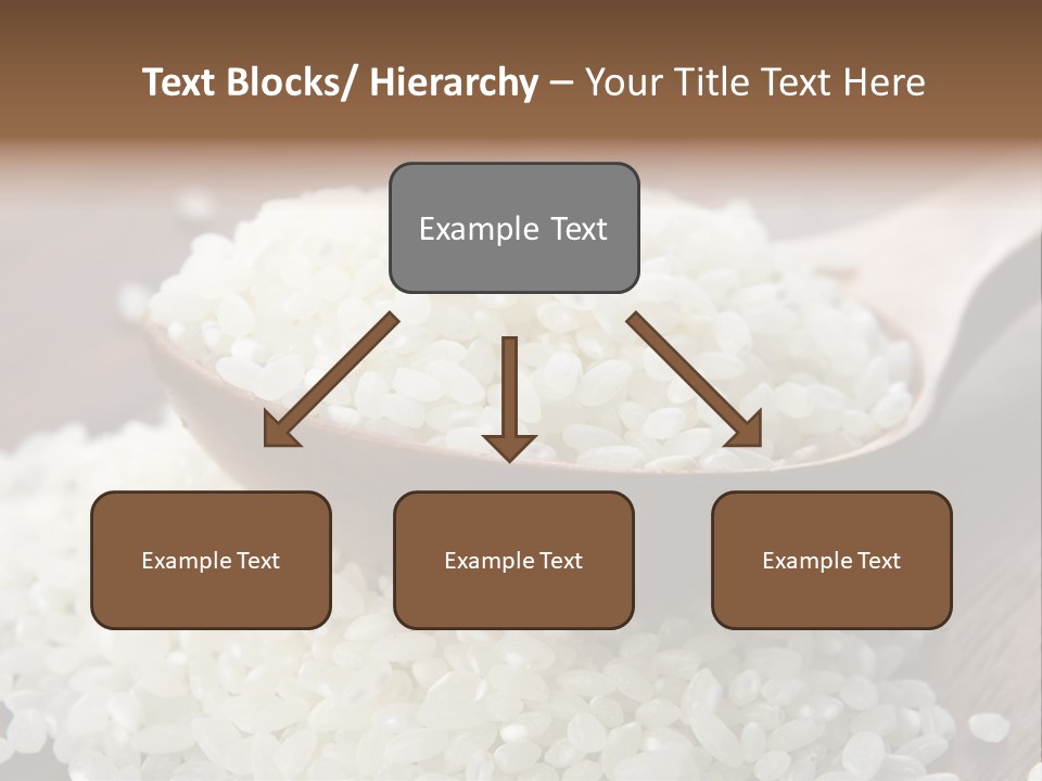 Macro Rice Vegetarian PowerPoint Template