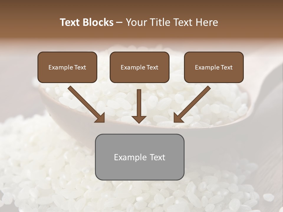 Macro Rice Vegetarian PowerPoint Template