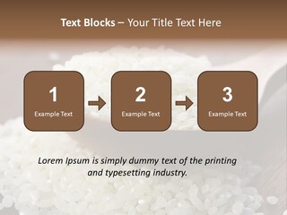 Macro Rice Vegetarian PowerPoint Template