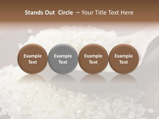 Macro Rice Vegetarian PowerPoint Template
