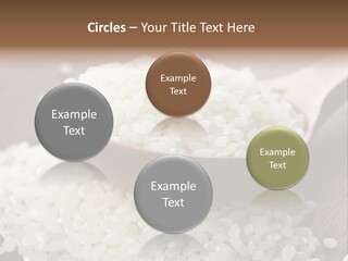 Macro Rice Vegetarian PowerPoint Template
