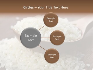 Macro Rice Vegetarian PowerPoint Template