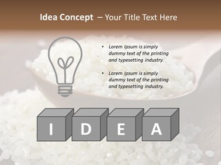 Macro Rice Vegetarian PowerPoint Template