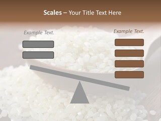 Macro Rice Vegetarian PowerPoint Template