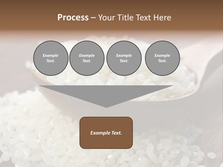 Macro Rice Vegetarian PowerPoint Template