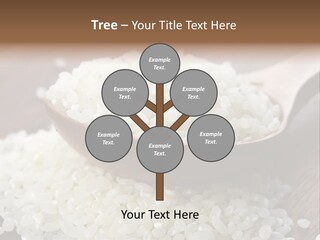 Macro Rice Vegetarian PowerPoint Template