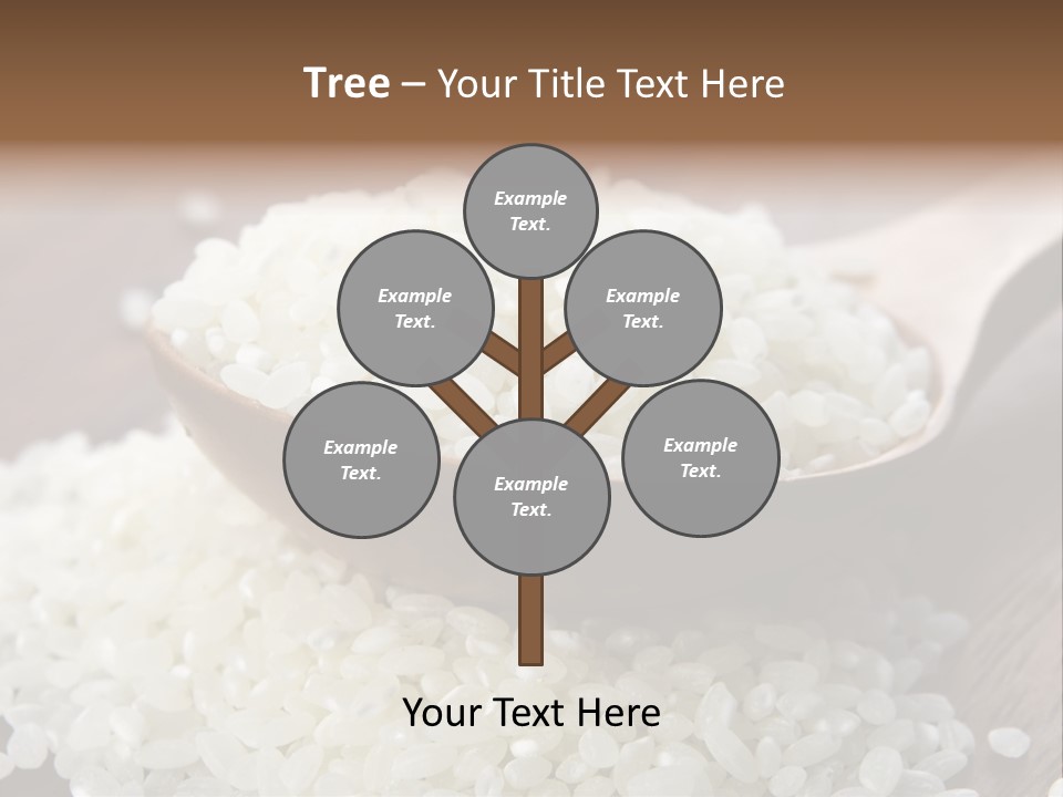 Macro Rice Vegetarian PowerPoint Template