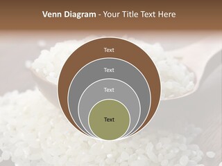 Macro Rice Vegetarian PowerPoint Template