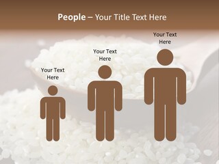 Macro Rice Vegetarian PowerPoint Template
