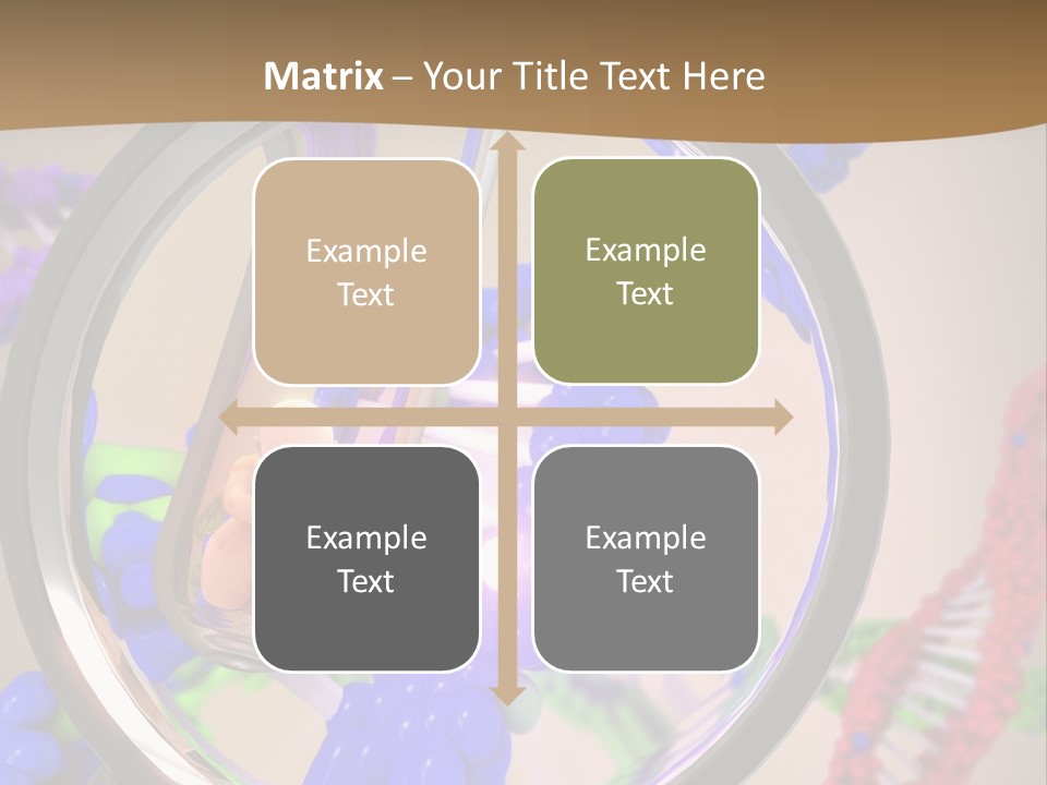 Genetics Fraction Fetus PowerPoint Template