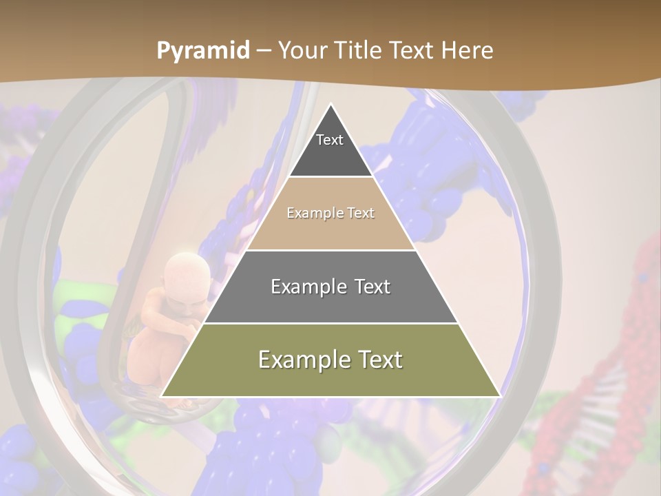 Genetics Fraction Fetus PowerPoint Template