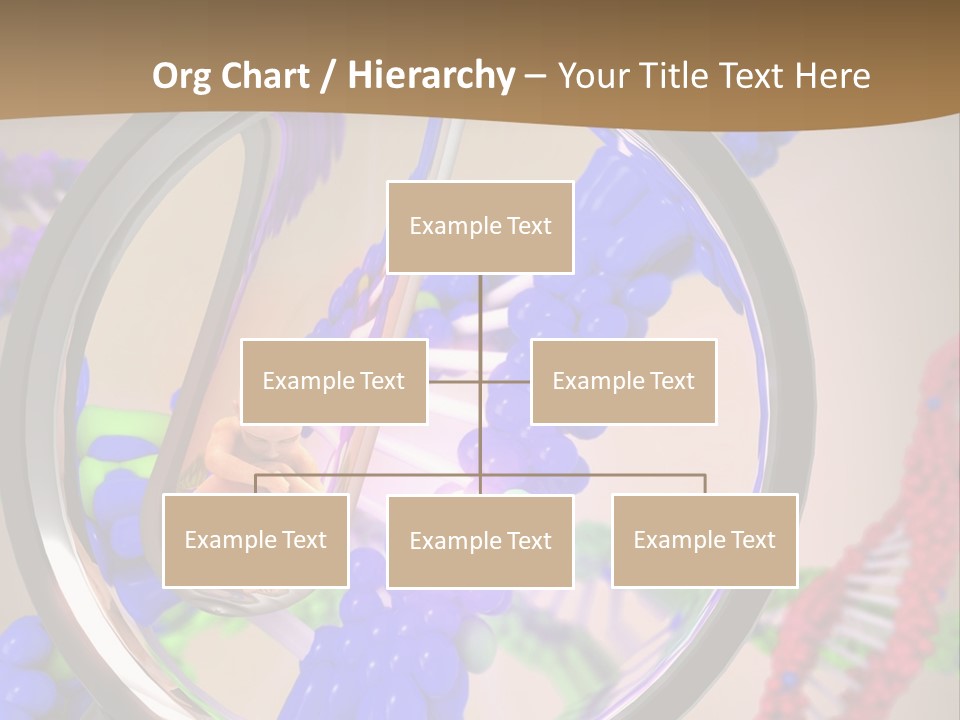 Genetics Fraction Fetus PowerPoint Template