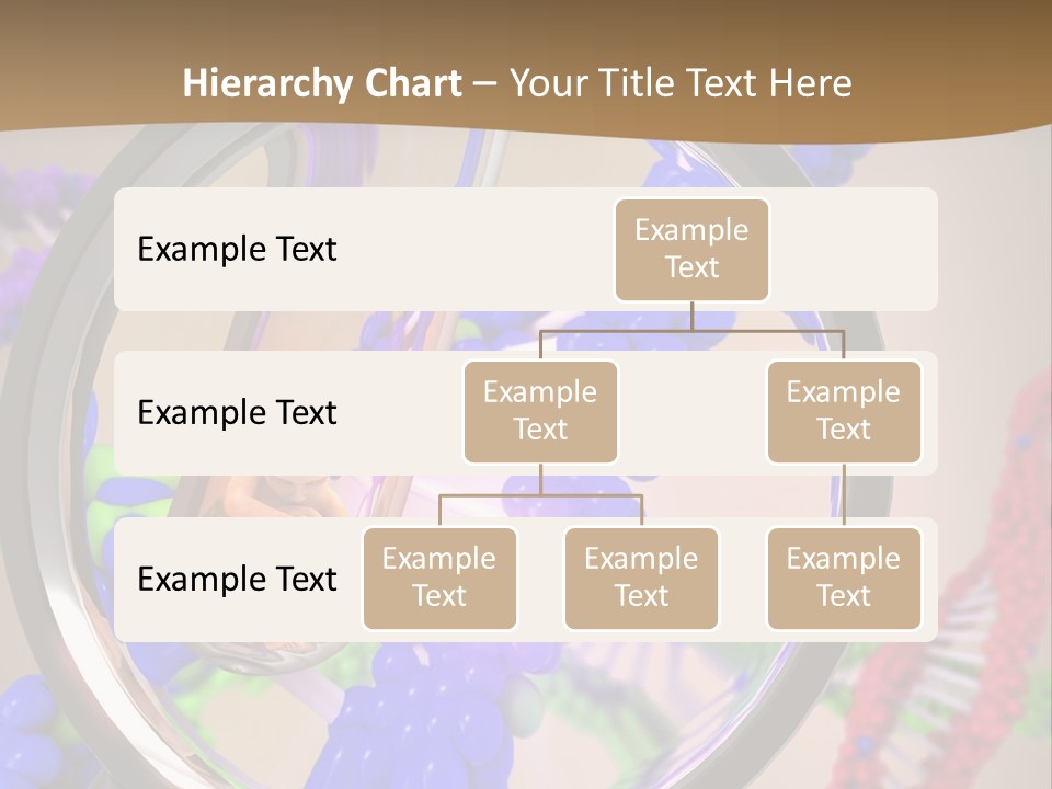 Genetics Fraction Fetus PowerPoint Template