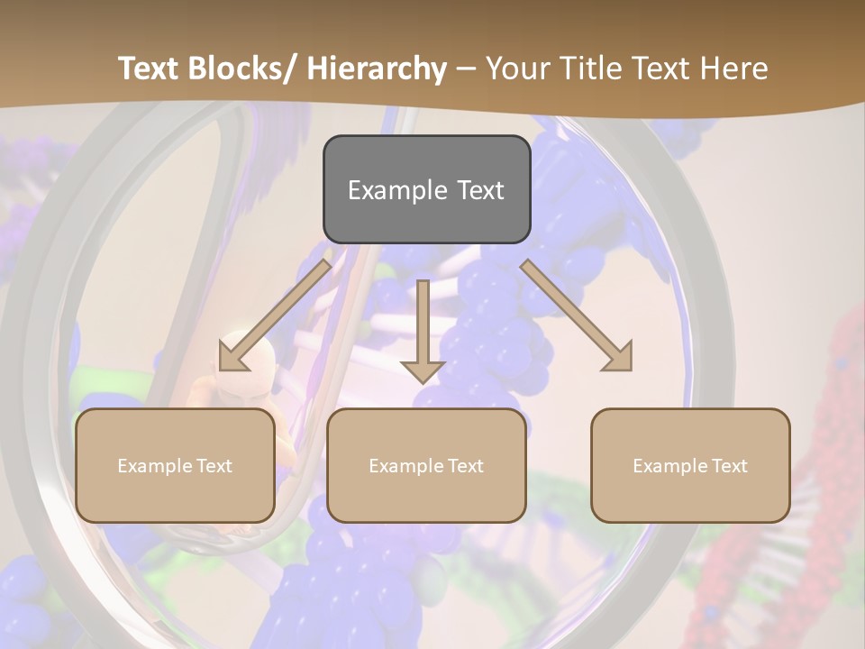 Genetics Fraction Fetus PowerPoint Template