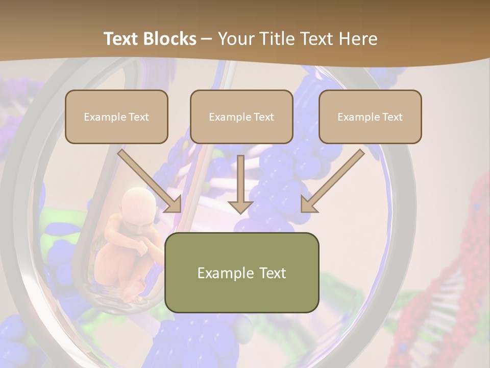 Genetics Fraction Fetus PowerPoint Template