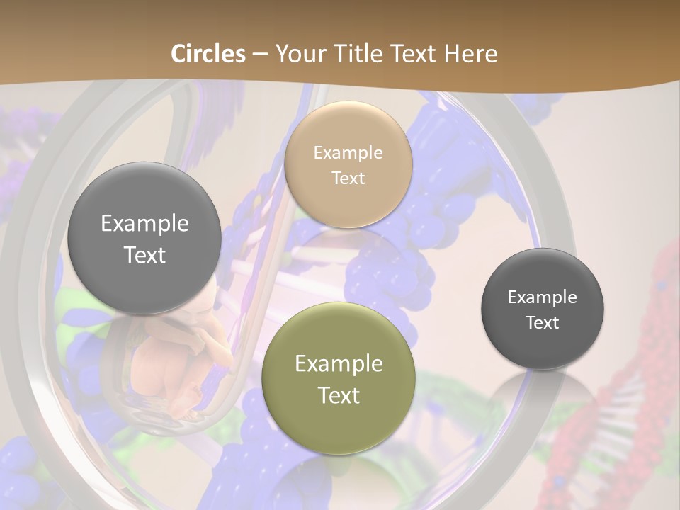 Genetics Fraction Fetus PowerPoint Template