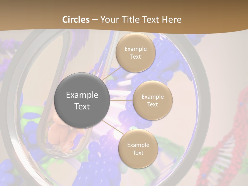 Genetics Fraction Fetus PowerPoint Template