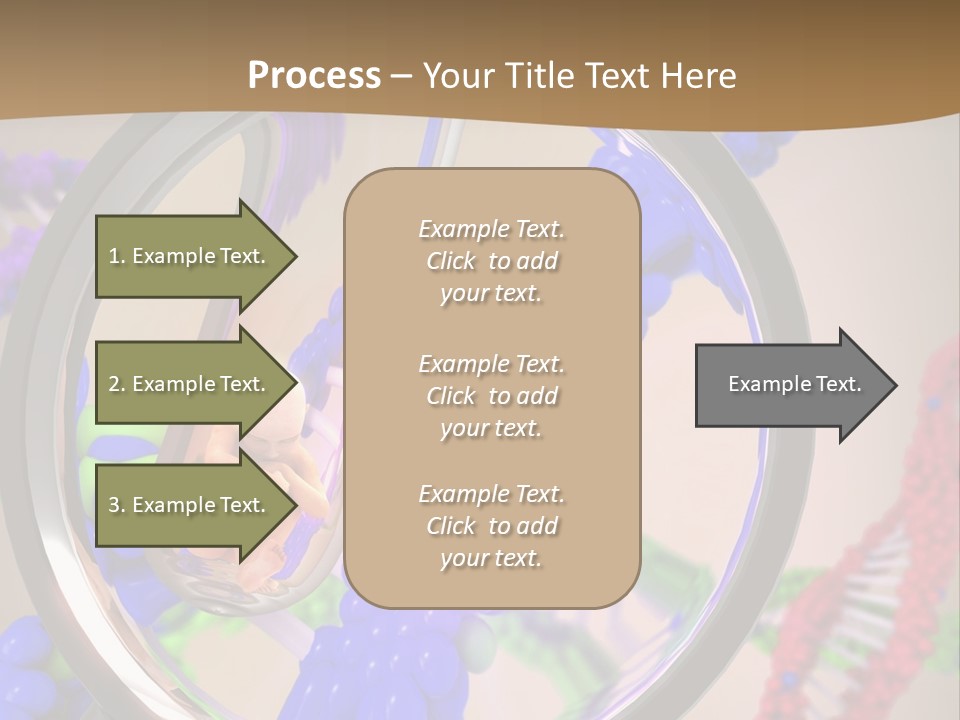Genetics Fraction Fetus PowerPoint Template