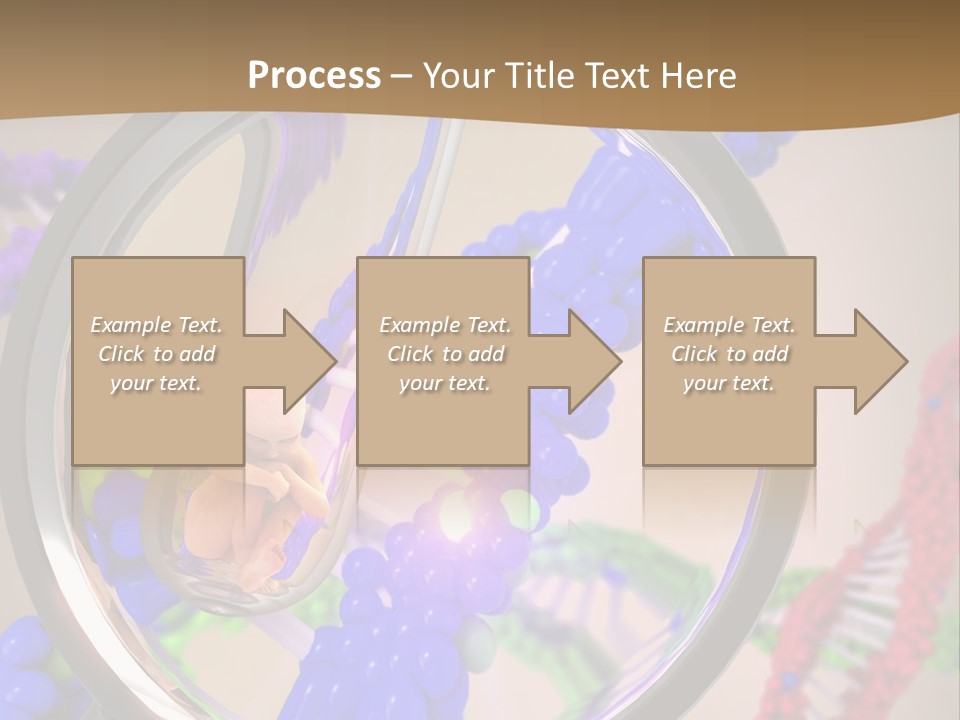 Genetics Fraction Fetus PowerPoint Template