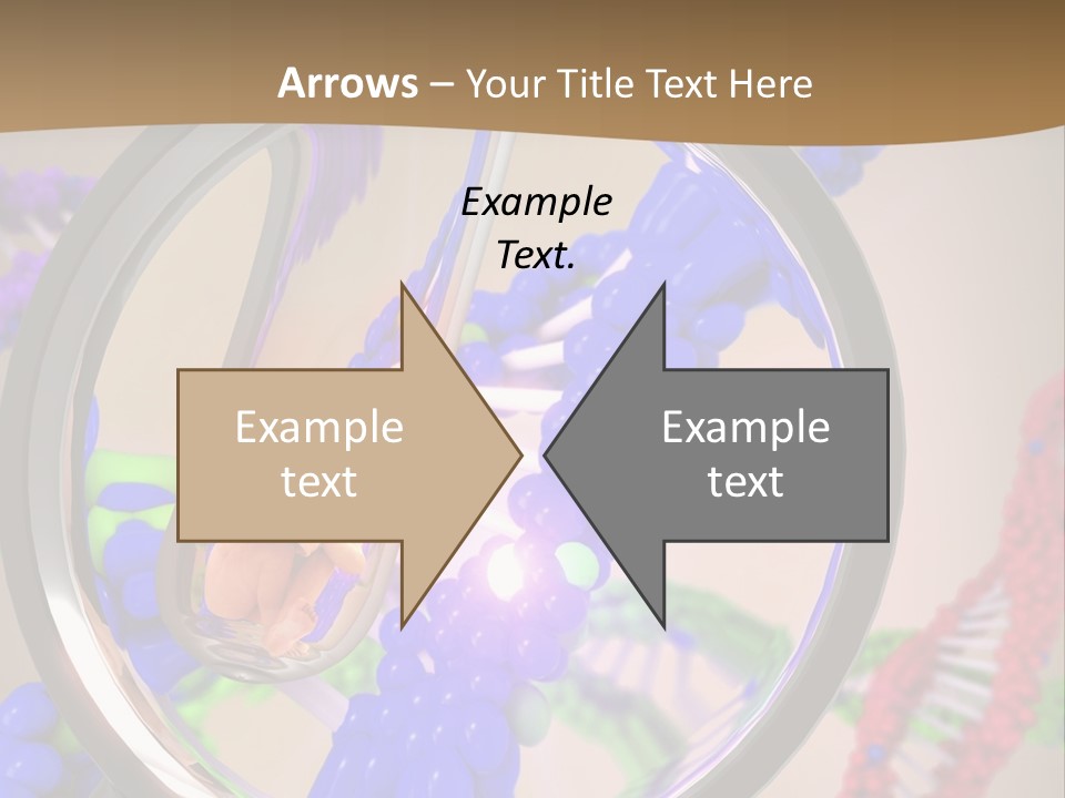 Genetics Fraction Fetus PowerPoint Template