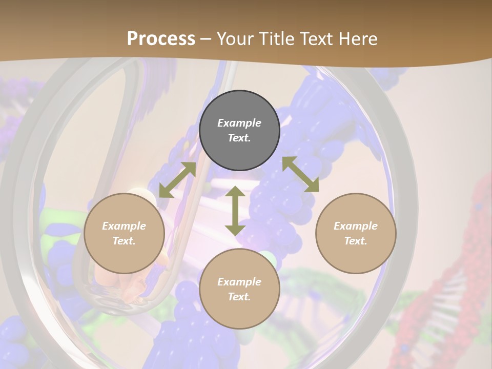 Genetics Fraction Fetus PowerPoint Template