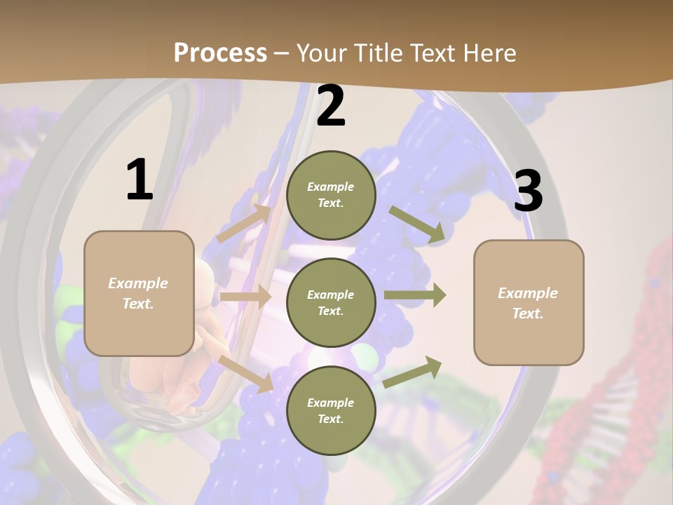 Genetics Fraction Fetus PowerPoint Template