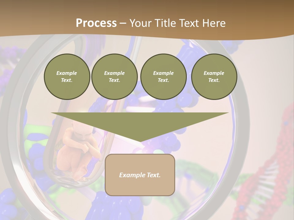 Genetics Fraction Fetus PowerPoint Template